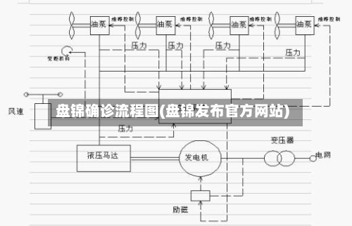 盘锦确诊流程图(盘锦发布官方网站)-第3张图片