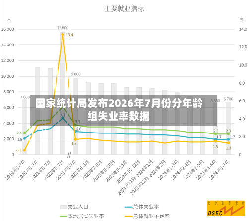 国家统计局发布2026年7月份分年龄组失业率数据-第2张图片