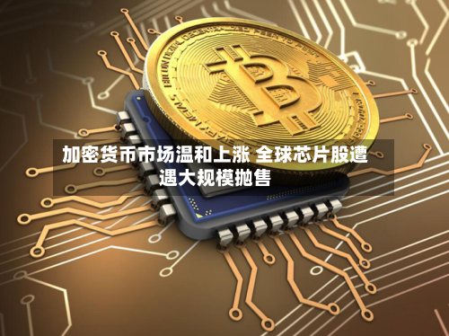 加密货币市场温和上涨 全球芯片股遭遇大规模抛售