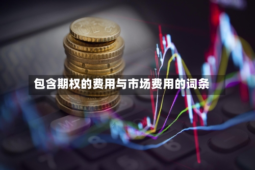 包含期权的费用与市场费用的词条-第2张图片