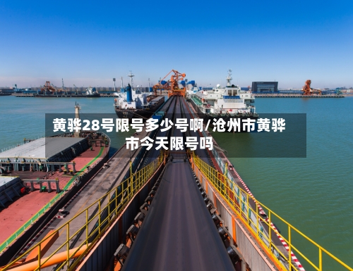 黄骅28号限号多少号啊/沧州市黄骅市今天限号吗-第2张图片