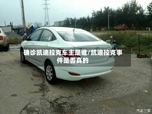 确诊凯迪拉克车主是谁/凯迪拉克事件是否真的-第2张图片