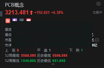 和胜股份：2026年半年度净利润同比增长102.82% 营收增长44.64%-第2张图片