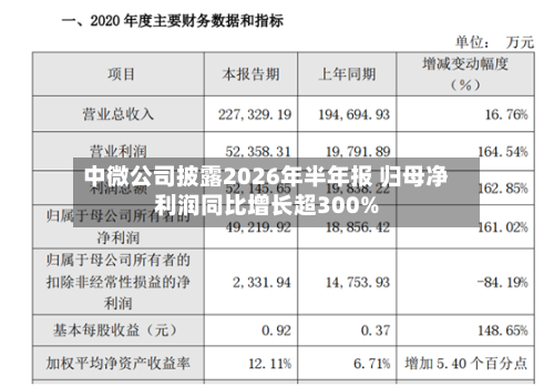中微公司披露2026年半年报 归母净利润同比增长超300%-第3张图片