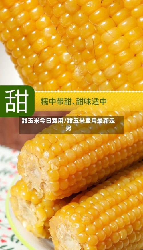 甜玉米今日费用/甜玉米费用最新走势-第3张图片