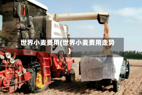 世界小麦费用(世界小麦费用走势)