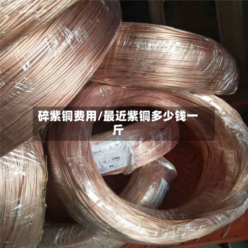 碎紫铜费用/最近紫铜多少钱一斤-第3张图片