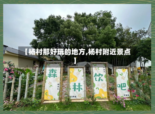 【杨村那好玩的地方,杨村附近景点】-第2张图片