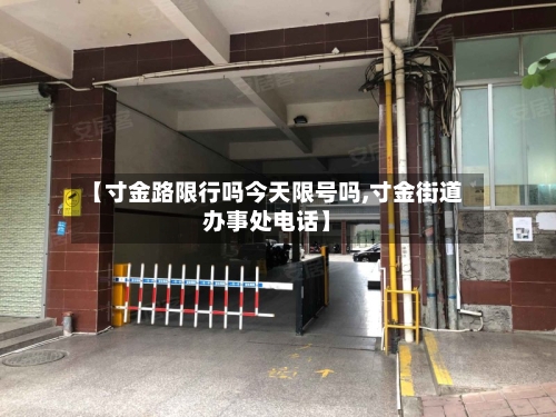 【寸金路限行吗今天限号吗,寸金街道办事处电话】