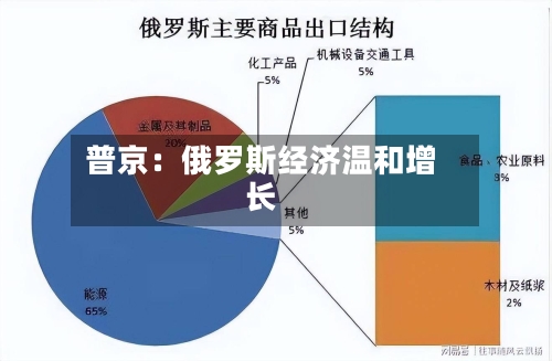 普京：俄罗斯经济温和增长-第2张图片