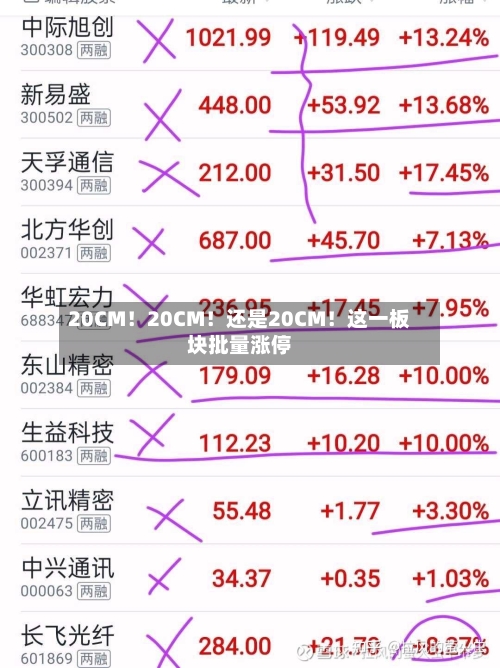 20CM！20CM！还是20CM！这一板块批量涨停-第3张图片