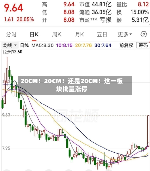 20CM！20CM！还是20CM！这一板块批量涨停-第2张图片