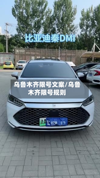 乌鲁木齐限号文案/乌鲁木齐限号规则-第3张图片