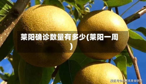 莱阳确诊数量有多少(莱阳一周)