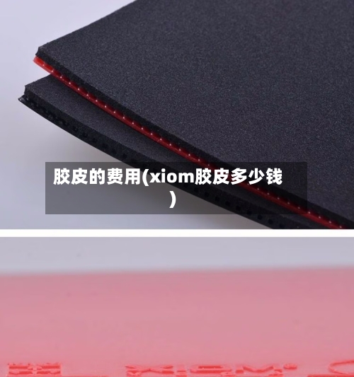 胶皮的费用(xiom胶皮多少钱)