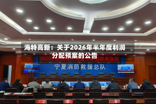 海特高新：关于2026年半年度利润分配预案的公告-第2张图片
