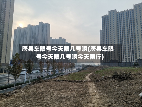 唐县车限号今天限几号啊(唐县车限号今天限几号啊今天限行)