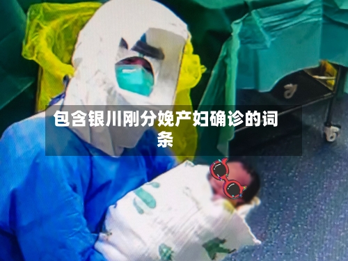 包含银川刚分娩产妇确诊的词条