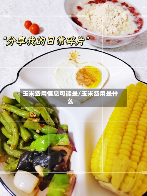 玉米费用信息可能是/玉米费用是什么-第3张图片