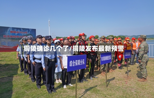 铜陵确诊几个了/铜陵发布最新预警-第2张图片