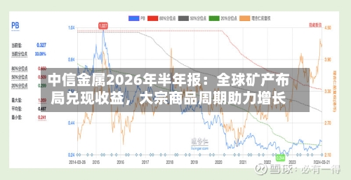 中信金属2026年半年报：全球矿产布局兑现收益，大宗商品周期助力增长-第1张图片