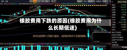 橡胶费用下跌的原因(橡胶费用为什么长期低迷)-第3张图片