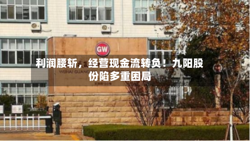 利润腰斩	，经营现金流转负！九阳股份陷多重困局-第3张图片