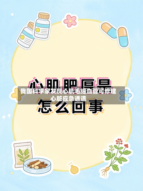 我国科学家发现心肌毛细血管可修建心脏应急通道
