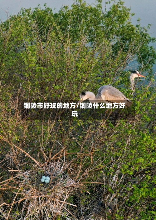 铜陵市好玩的地方/铜陵什么地方好玩