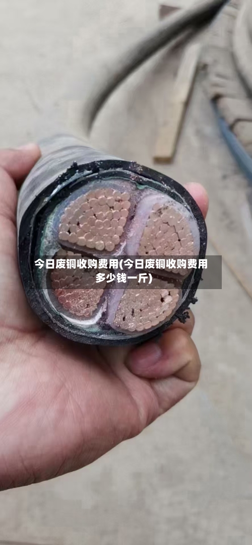 今日废铜收购费用(今日废铜收购费用多少钱一斤)
