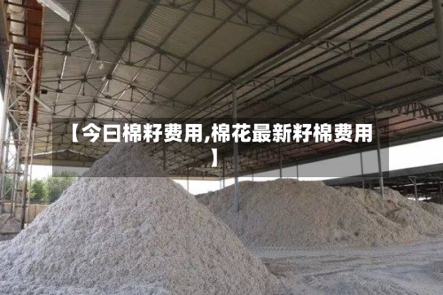 【今曰棉籽费用,棉花最新籽棉费用】
