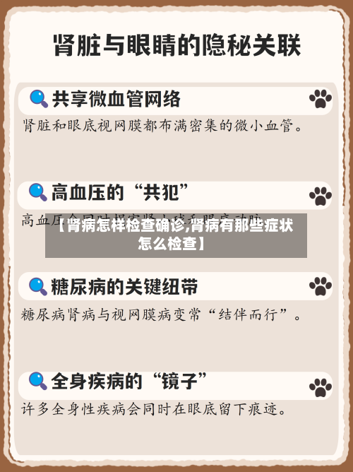 【肾病怎样检查确诊,肾病有那些症状 怎么检查】