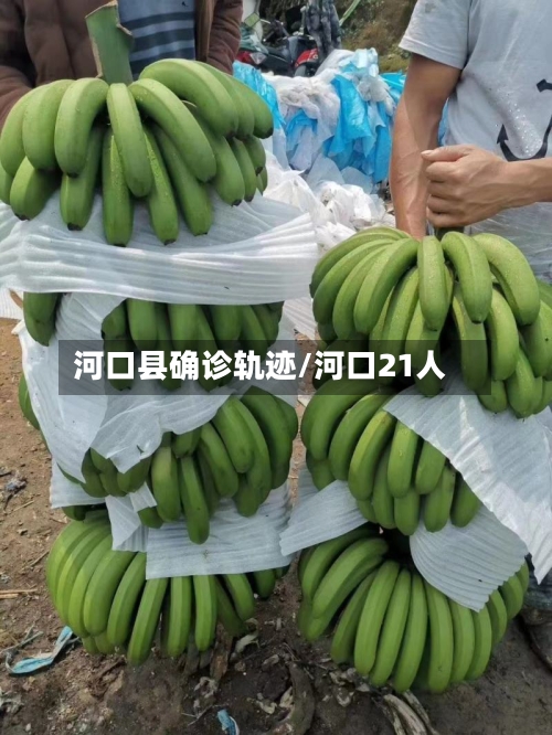 河口县确诊轨迹/河口21人