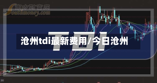 沧州tdi最新费用/今日沧州