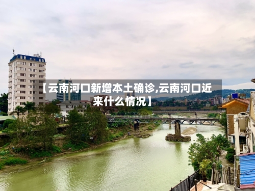 【云南河口新增本土确诊,云南河口近来什么情况】-第3张图片
