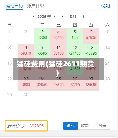 猛硅费用(猛硅2611期货)