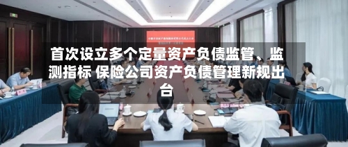 首次设立多个定量资产负债监管、监测指标 保险公司资产负债管理新规出台-第2张图片