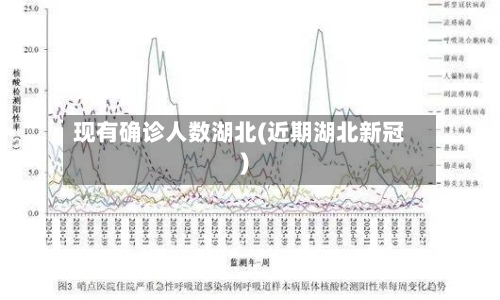 现有确诊人数湖北(近期湖北新冠)