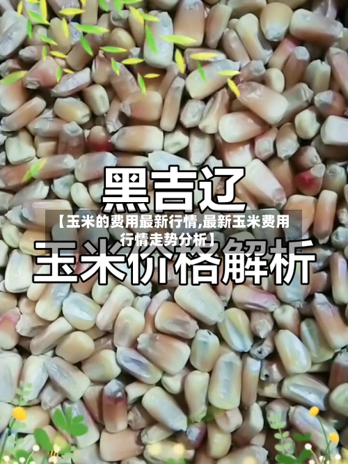 【玉米的费用最新行情,最新玉米费用行情走势分析】-第3张图片