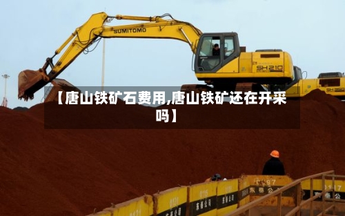 【唐山铁矿石费用,唐山铁矿还在开采吗】-第2张图片