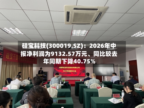 硅宝科技(300019.SZ)：2026年中报净利润为9132.57万元、同比较去年同期下降40.75%
