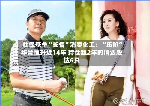 社保基金“长情”消费化工：“压舱”华鲁恒升近14年 持仓超2年的消费股达6只