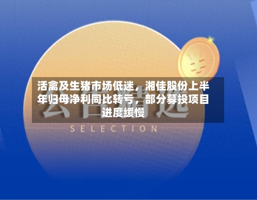 活禽及生猪市场低迷，湘佳股份上半年归母净利同比转亏	，部分募投项目进度缓慢-第1张图片