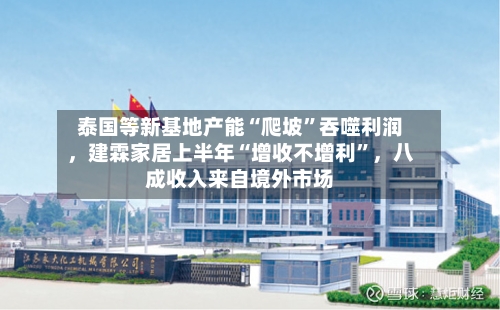 泰国等新基地产能“爬坡	”吞噬利润，建霖家居上半年“增收不增利”，八成收入来自境外市场-第2张图片