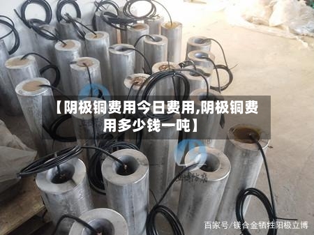 【阴极铜费用今日费用,阴极铜费用多少钱一吨】-第3张图片
