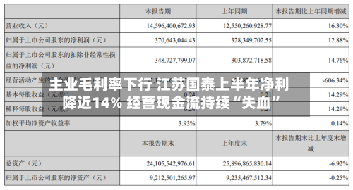主业毛利率下行 江苏国泰上半年净利降近14% 经营现金流持续“失血”-第1张图片