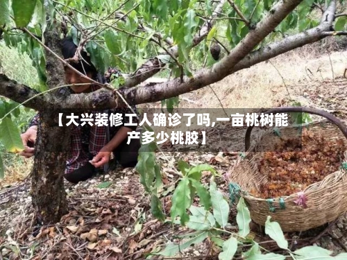 【大兴装修工人确诊了吗,一亩桃树能产多少桃胶】-第2张图片