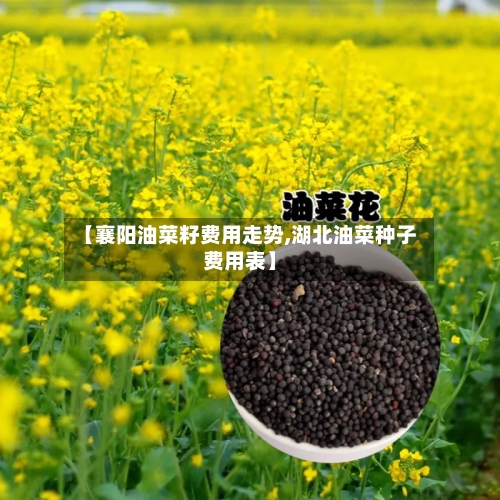 【襄阳油菜籽费用走势,湖北油菜种子费用表】