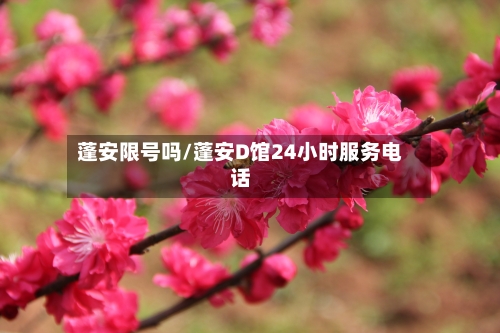 蓬安限号吗/蓬安D馆24小时服务电话-第2张图片