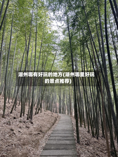 湖州哪有好玩的地方(湖州哪里好玩的景点推荐)-第3张图片